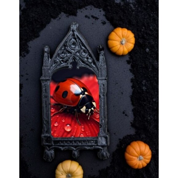 Ladybug Fridge Magnet - Bug Home Decor - Picture 2 of 3
